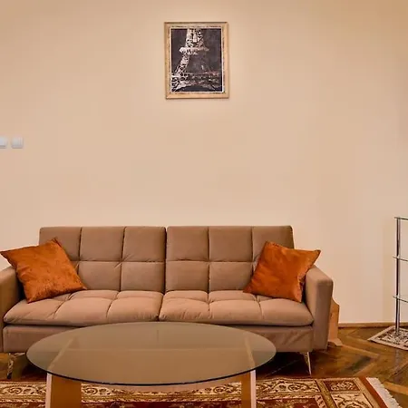 Casa Max Apartment Timisoara Exterior photo
